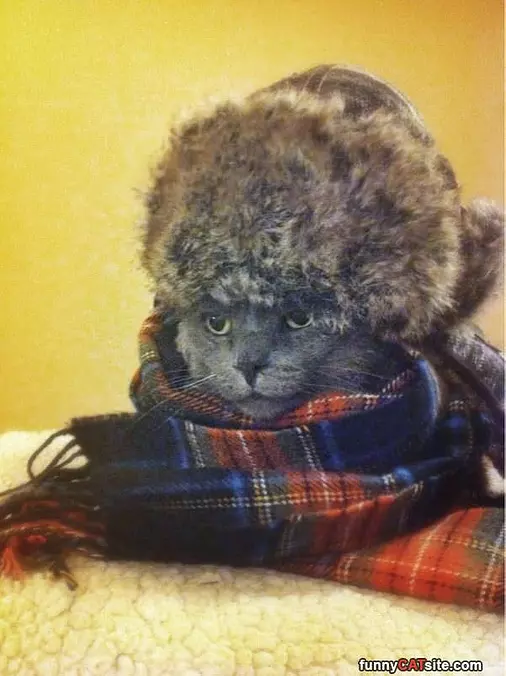 My Warm Hat