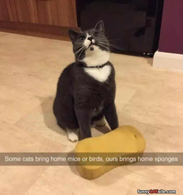 A Great Hunter