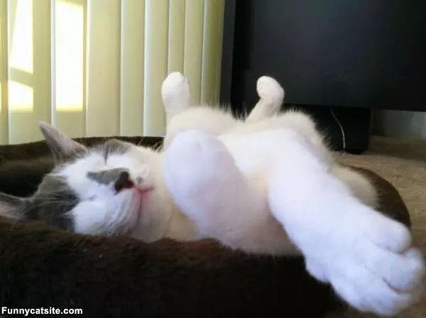 Chillaxing How I Want
