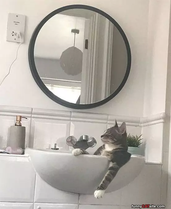 A Place To Lounge
