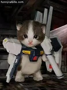 Robo Cat