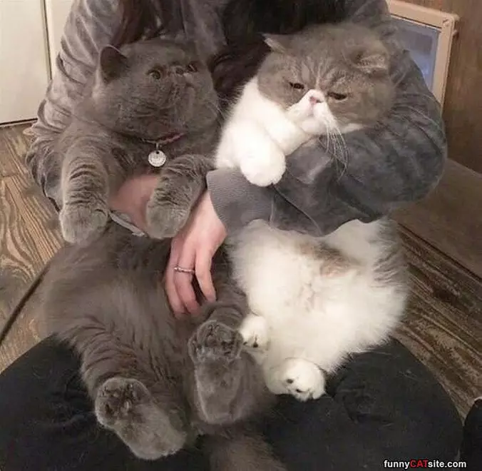 Couple Of Us Together