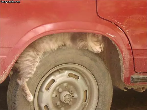 Asleep At The Wheel