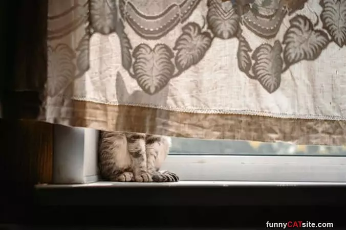 Never Find Me Here