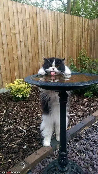 Sipping