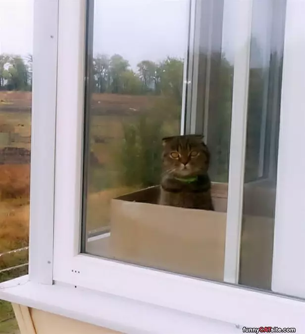 Watching The World