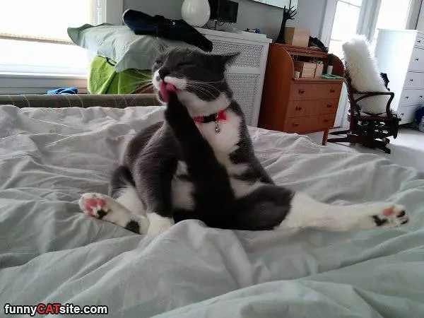 I Am Just Chillin Here