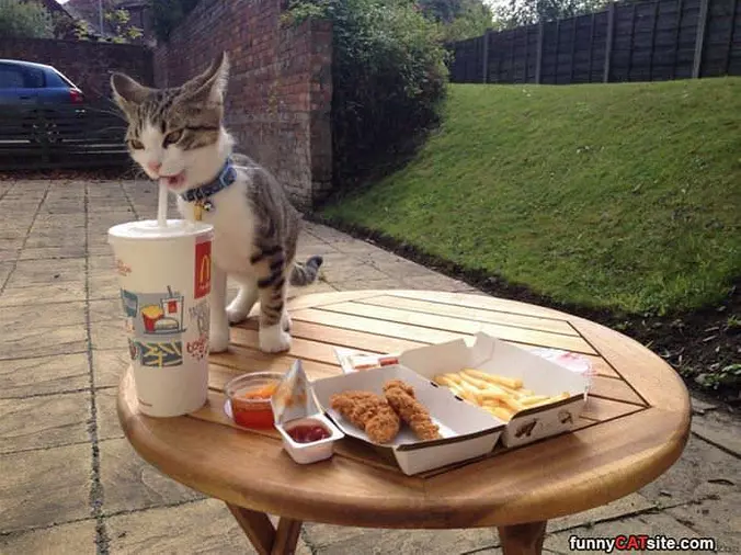 Will You Share