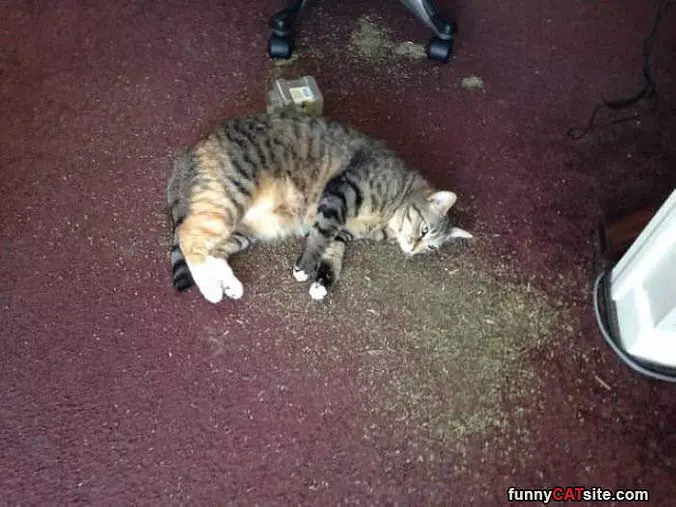 Rolling In Nip