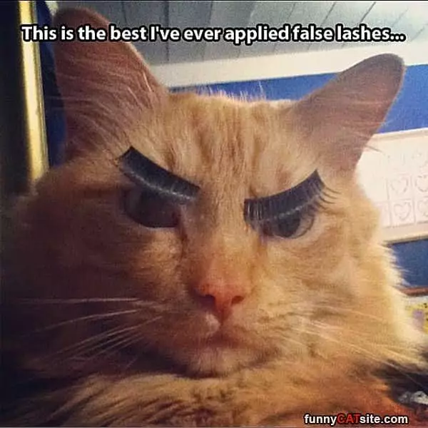Best Application