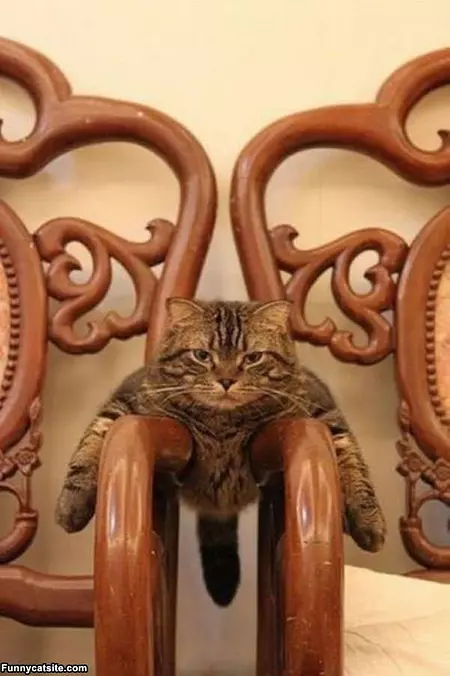 Im Saving These Seats