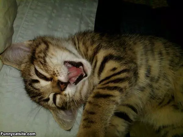 Smiley Yawn