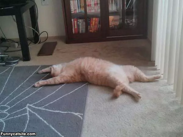Just Taking Me A Nap