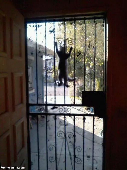 Hey People Let Me In