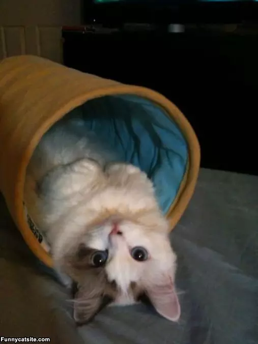 Upside Down