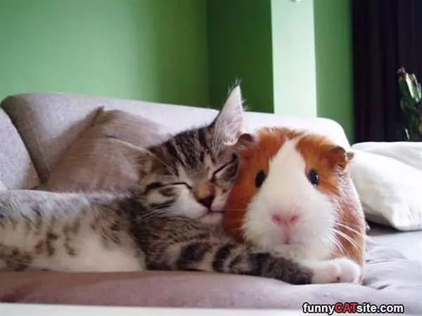 Lets Be Friends