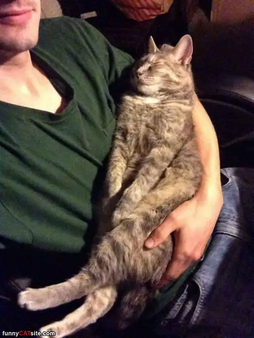 Carry Me Around