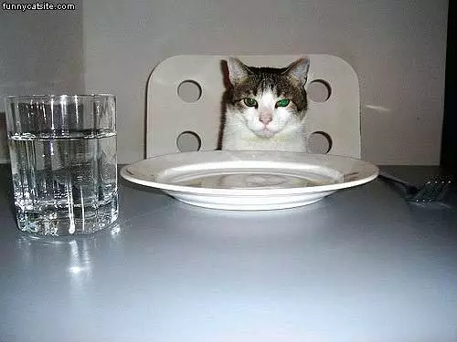 Wheres My Dinner