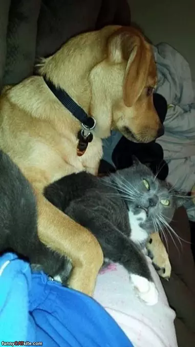 Duude Get Off