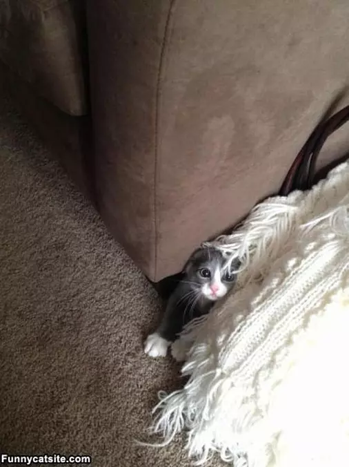 Hey Cover Me Back Up