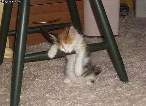 Very Very Tired