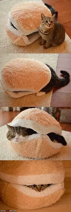 I Has My Fort