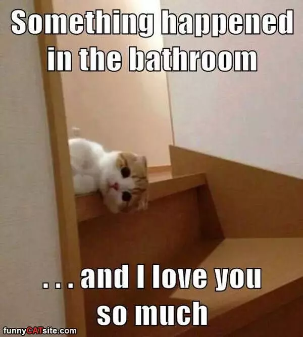 Something Happened
