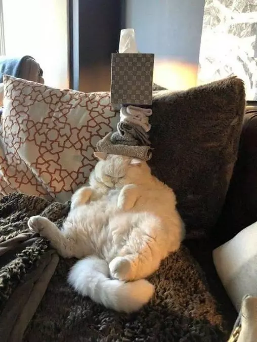 Stacking On Top Of My Head