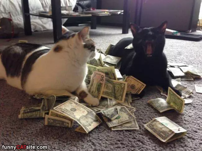 Hahahahahahaha We Are Rich