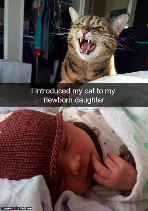 An Introduction
