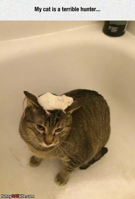 Terrible Hunter