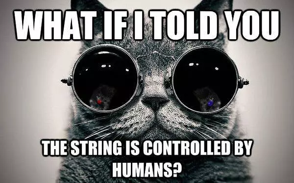 What If I Told You