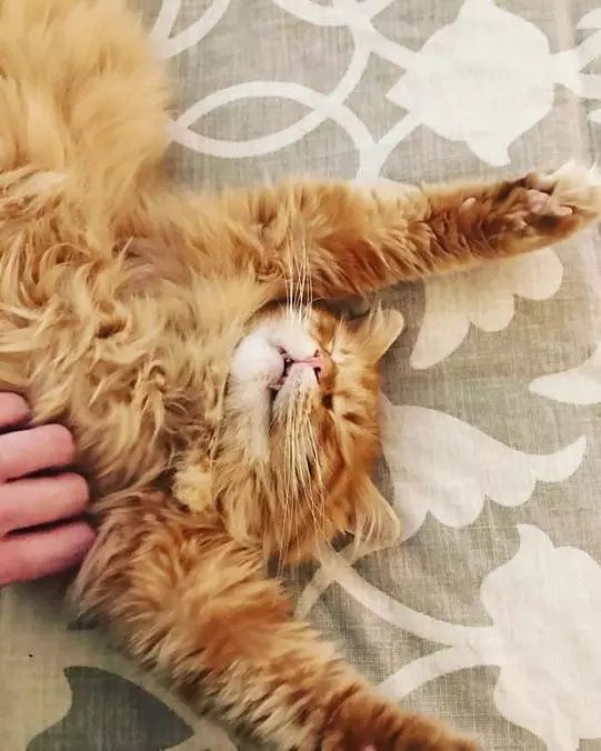 Laying On My Back