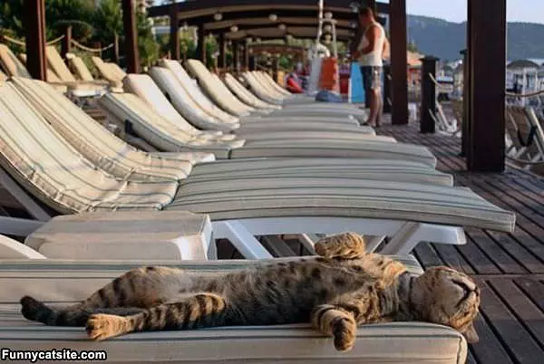 Working On My Tan