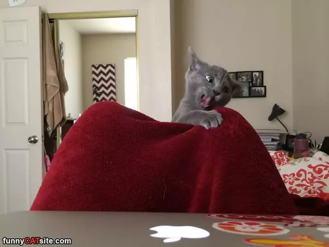 Get Out Of This