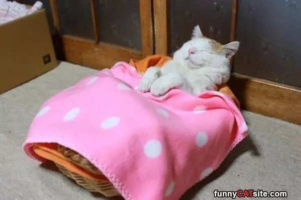 I Am So Tucked In