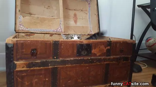 I See You Coming