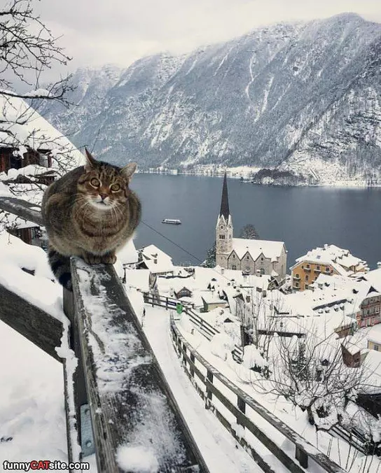A Nice Cold Day