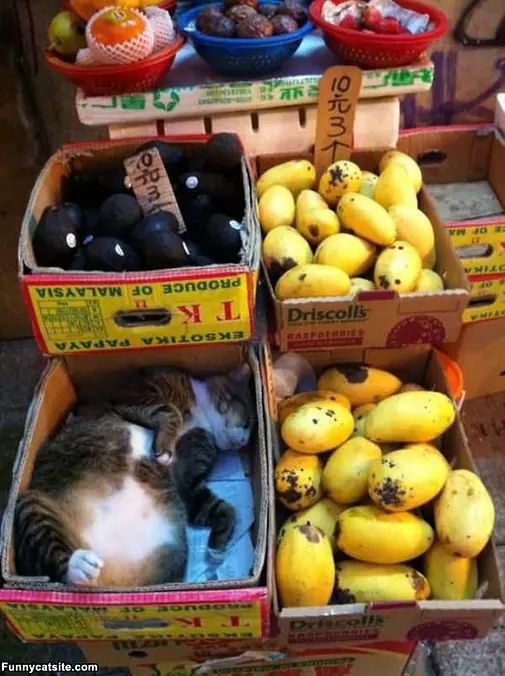 I Am Not For Sale