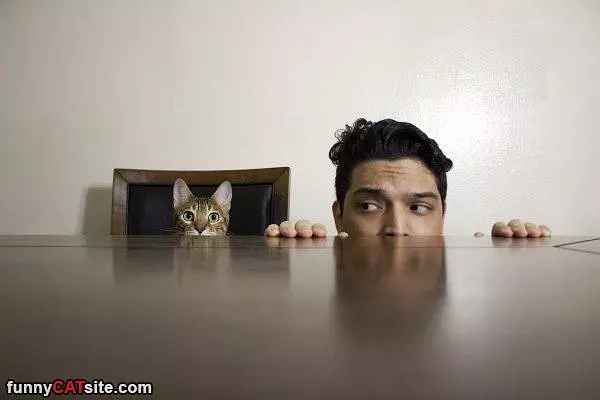 Chillin Here