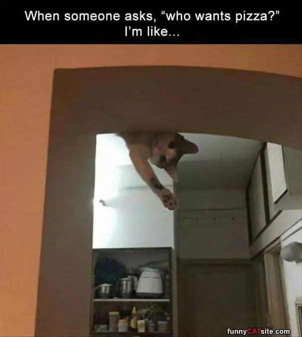 Who Wants Pizza