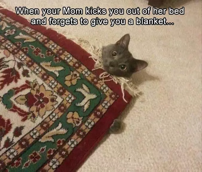 Give Me A Blanket