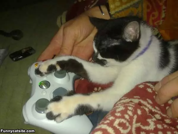Lets Play Xbox