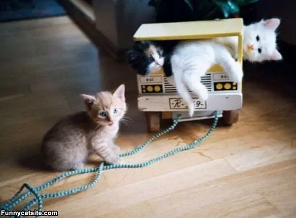 Playing With Trucks
