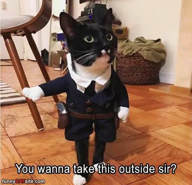 Take This Outside