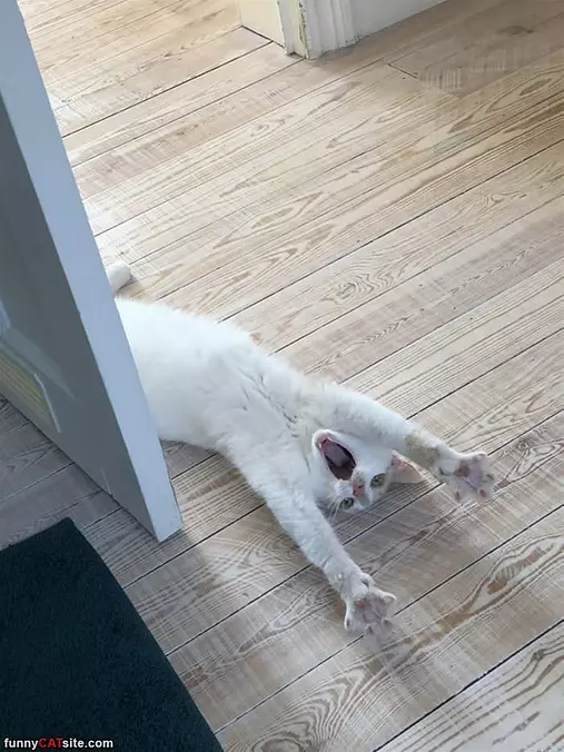 The Big Stretch