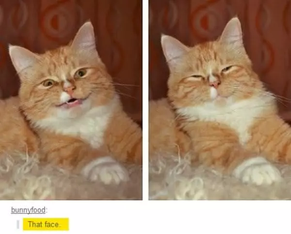 That Face