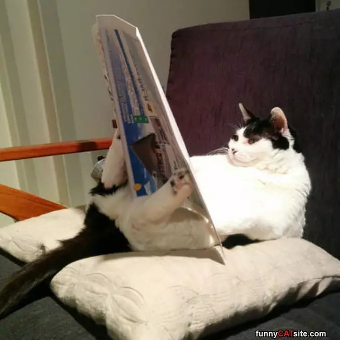 Just Cathing Up On My Reading
