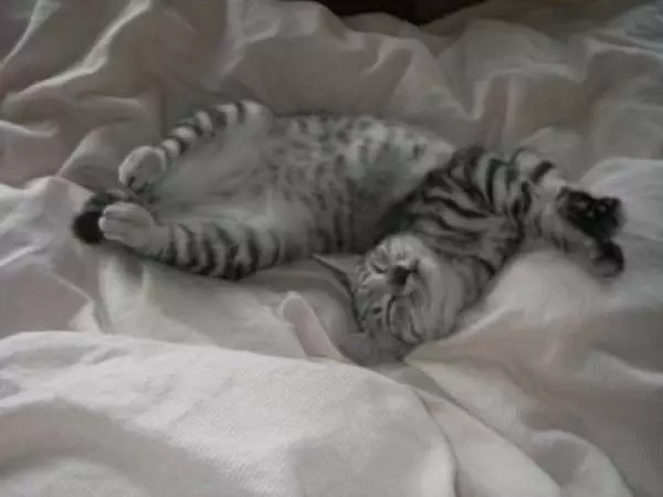 Sleep How I Want