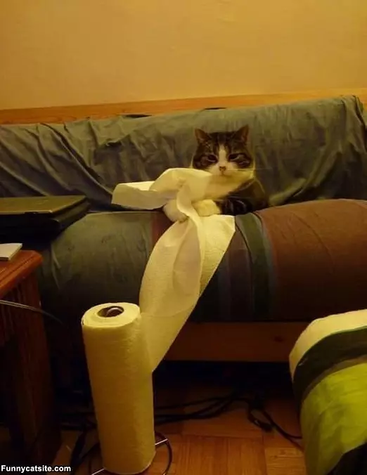 Taking A Towel